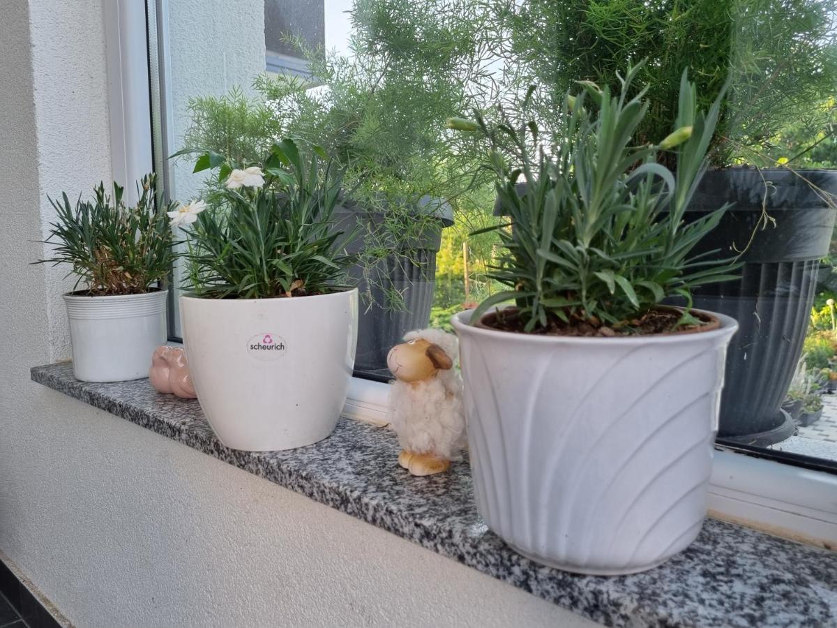 Apartman Nataly Varaždin Esterno foto
